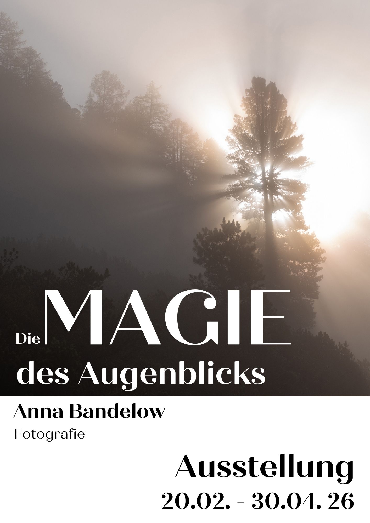 Silouette eines Baumes im Sonnenaufgang